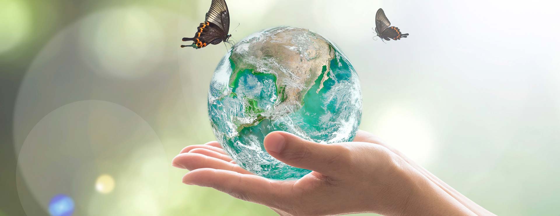 Cleaning and The Environment